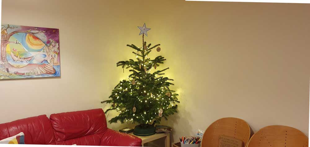 Tree-aspect-ratio-700-525